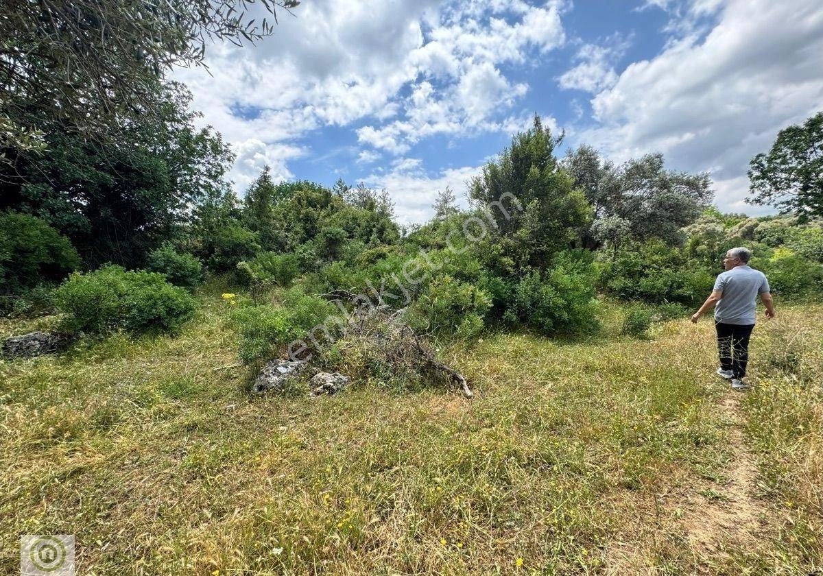 Milas Kalınağıl’da Merkezi Konumda 2.330 M² Satılık Tarla - Görsel 12