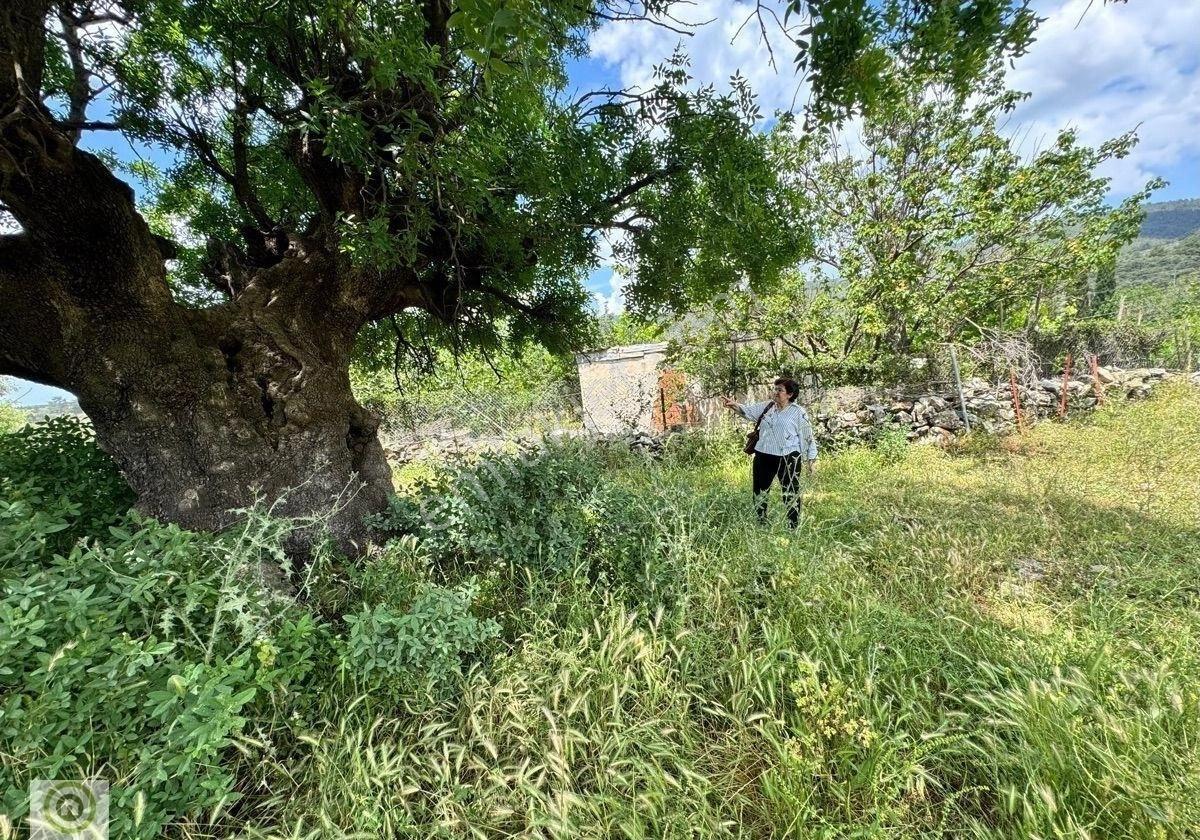 Milas Kalınağıl’da Merkezi Konumda 2.330 M² Satılık Tarla - Görsel 4