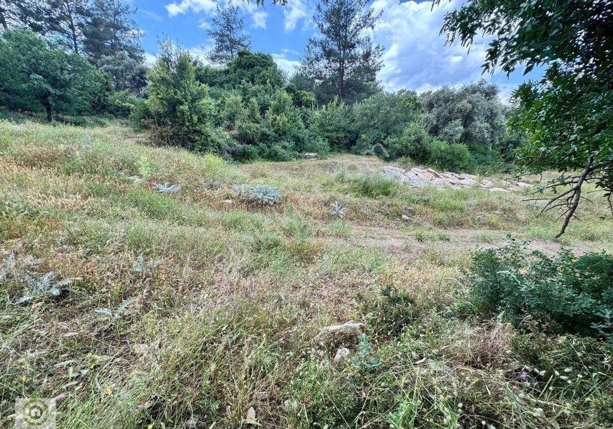 Milas Kalınağıl’da Merkezi Konumda 2.330 M² Satılık Tarla - Görsel 18