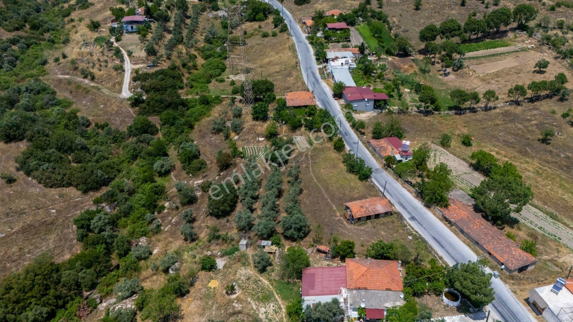 Anayola Cepheli 1.595 M² Tek Tapu İmarlı Arsa