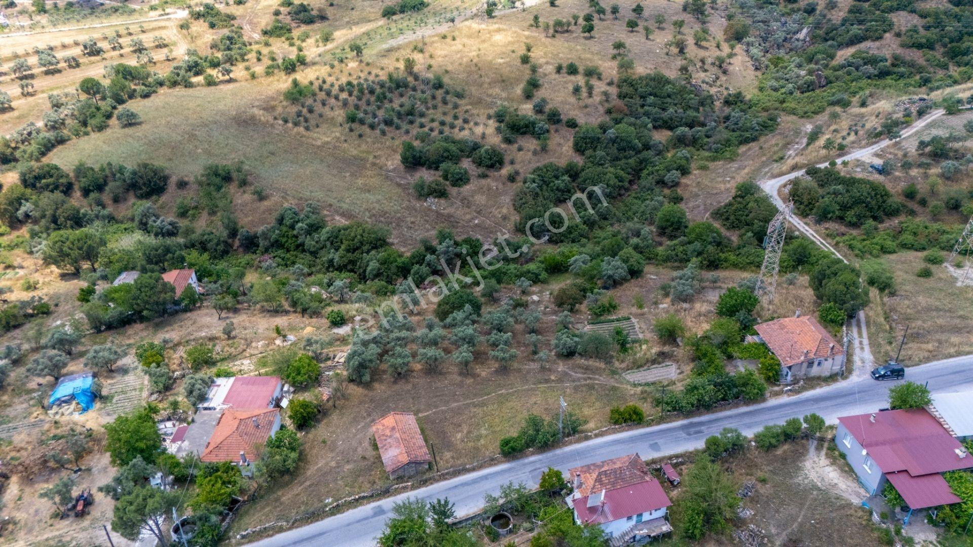 Anayola Cepheli 1.595 M² Tek Tapu İmarlı Arsa - Görsel 18