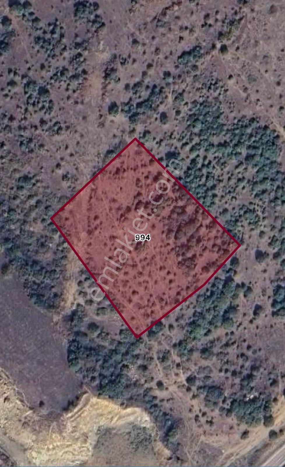 Kulakpınarda 7.500 M² Satılık Tarla | Asfalta 1 Parsel | - Görsel 2