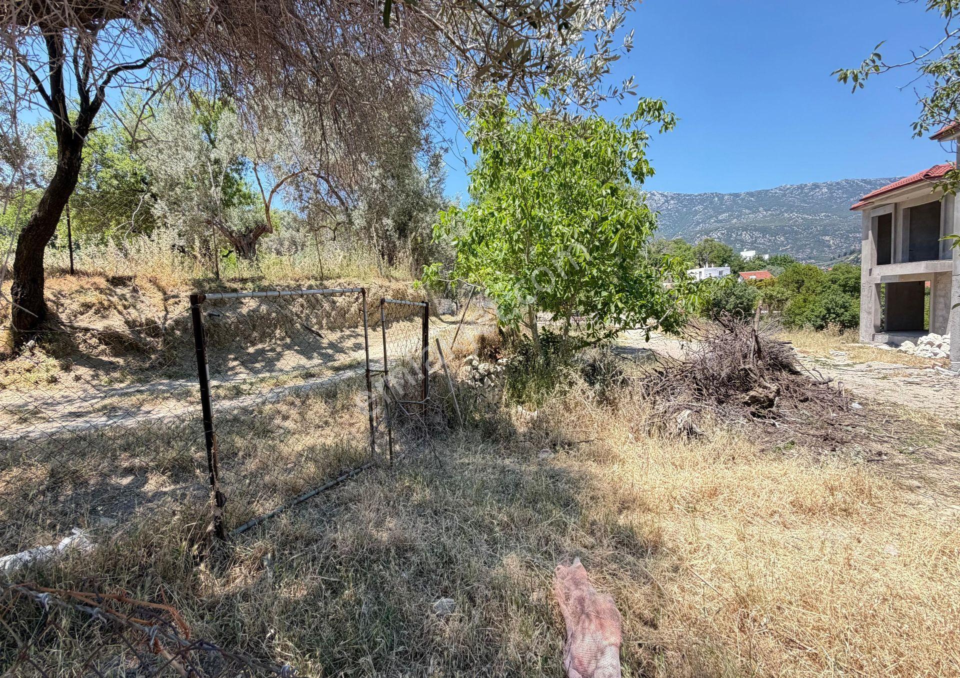 Karaburun Eğlenhoca Mahallesi'nde 472 M² Konut İmarlı Arsa - Görsel 19