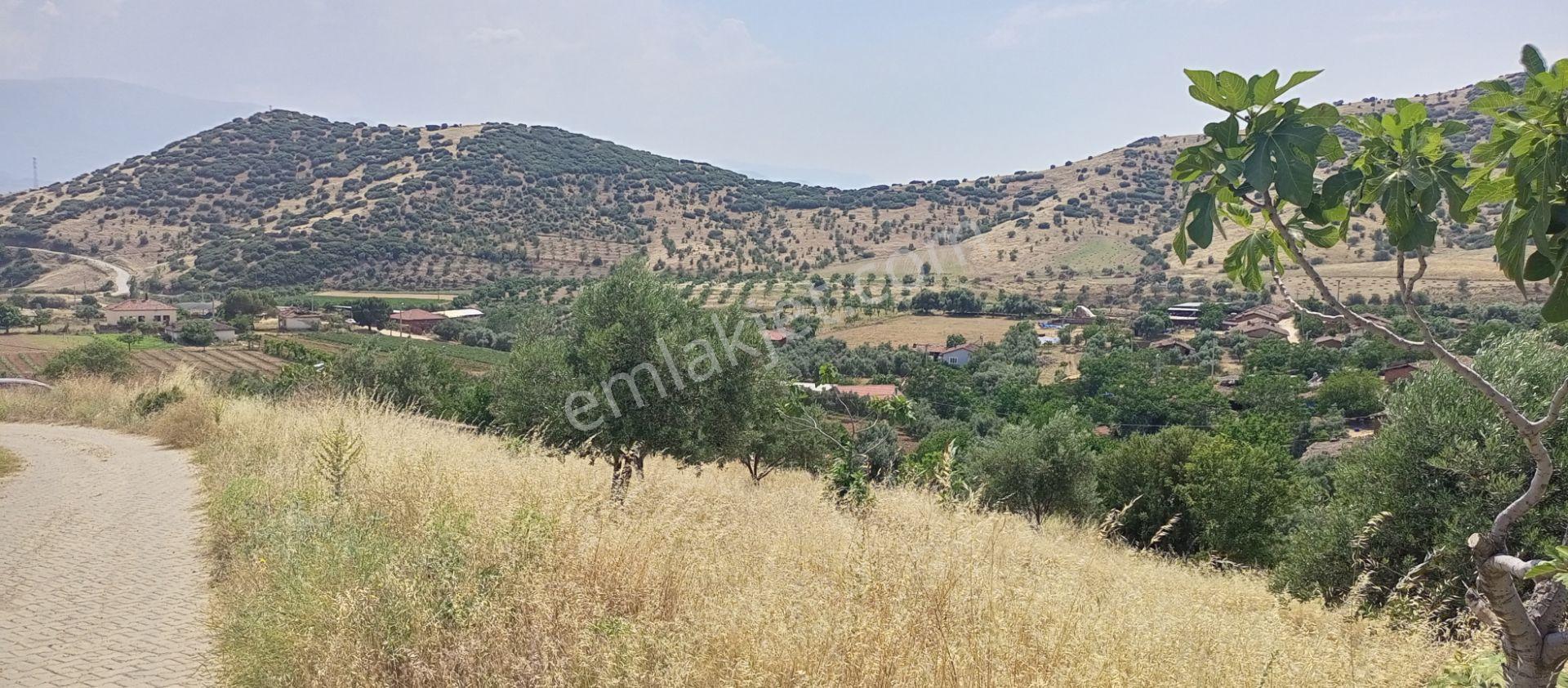 Ödemiş Uzundere Köşe Parsel, Elektrik Ve Şebeke Suyu Dibinde Olan, Tek Tapu 2355m2 Arazimiz Satılık - Görsel 11