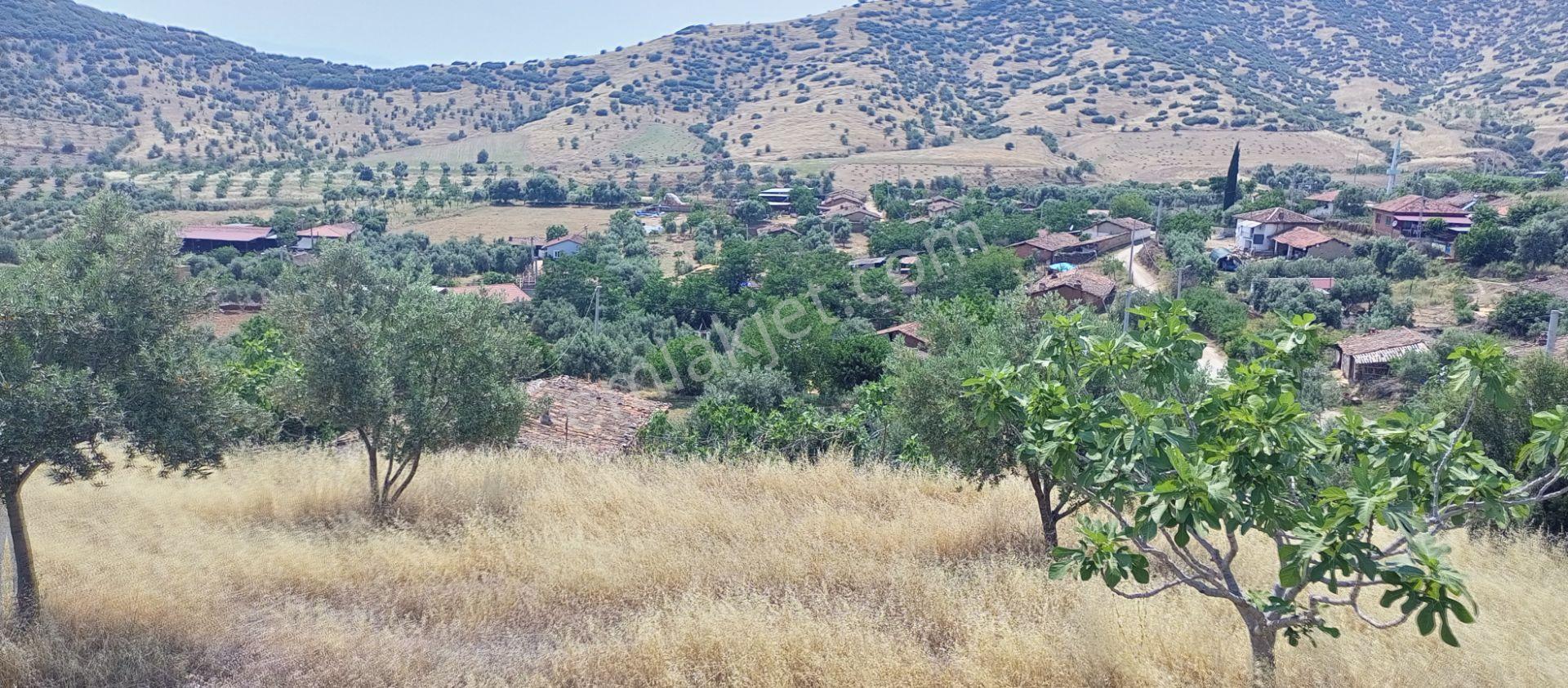 Ödemiş Uzundere Köşe Parsel, Elektrik Ve Şebeke Suyu Dibinde Olan, Tek Tapu 2355m2 Arazimiz Satılık - Görsel 14