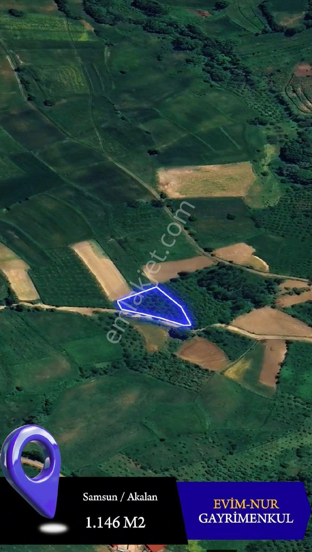 Evim-nur'dan Akalan Mh 1174m2 Köy İçinde Yol Kenarı Fırsat Tarla - Görsel 2