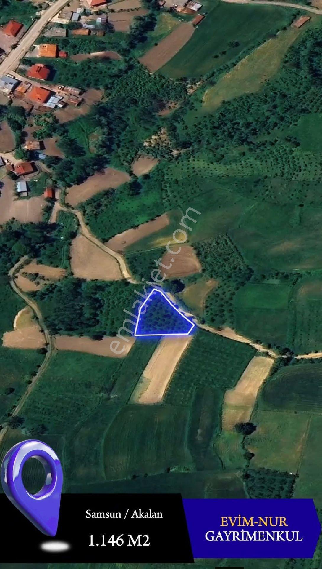 Evim-nur'dan Akalan Mh 1174m2 Köy İçinde Yol Kenarı Fırsat Tarla