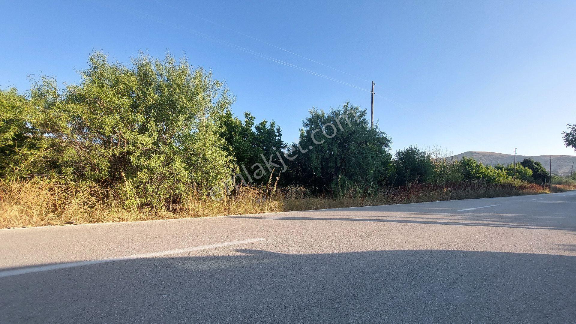 3719 Metrekare Kiraz Bahçesi. Yol Kenarı Ve Köy Merkezine Yakın - Görsel 2