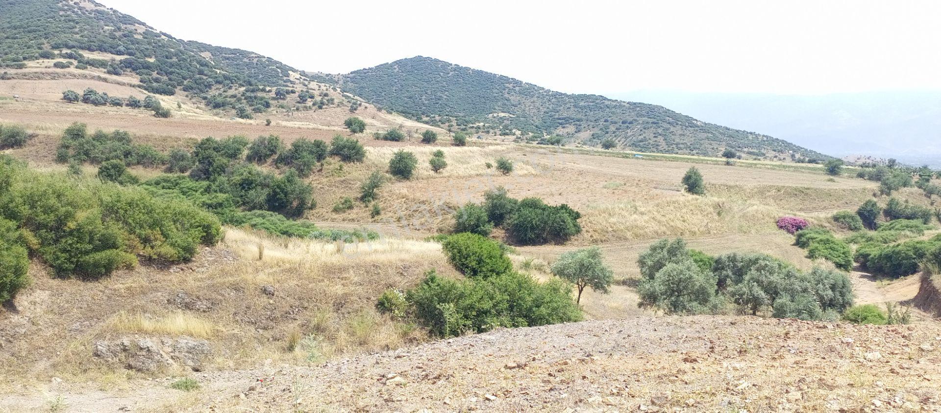 Ödemiş Uzundere'de Tek Tapu Müstakil Parsel 10.100m2 Yolu Olan Arazimiz Satılıktır - Görsel 13