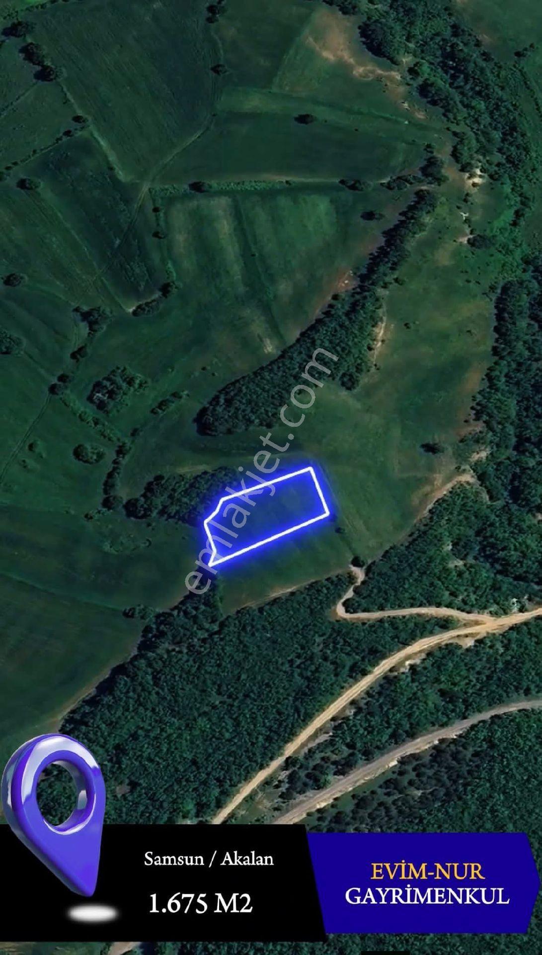 Evim-nur'dan Akalan Mh 1580m2 Yol Kenarı Kadastro Yolu Mevcut Fırsat Yatırımlık Tarla - Görsel 8