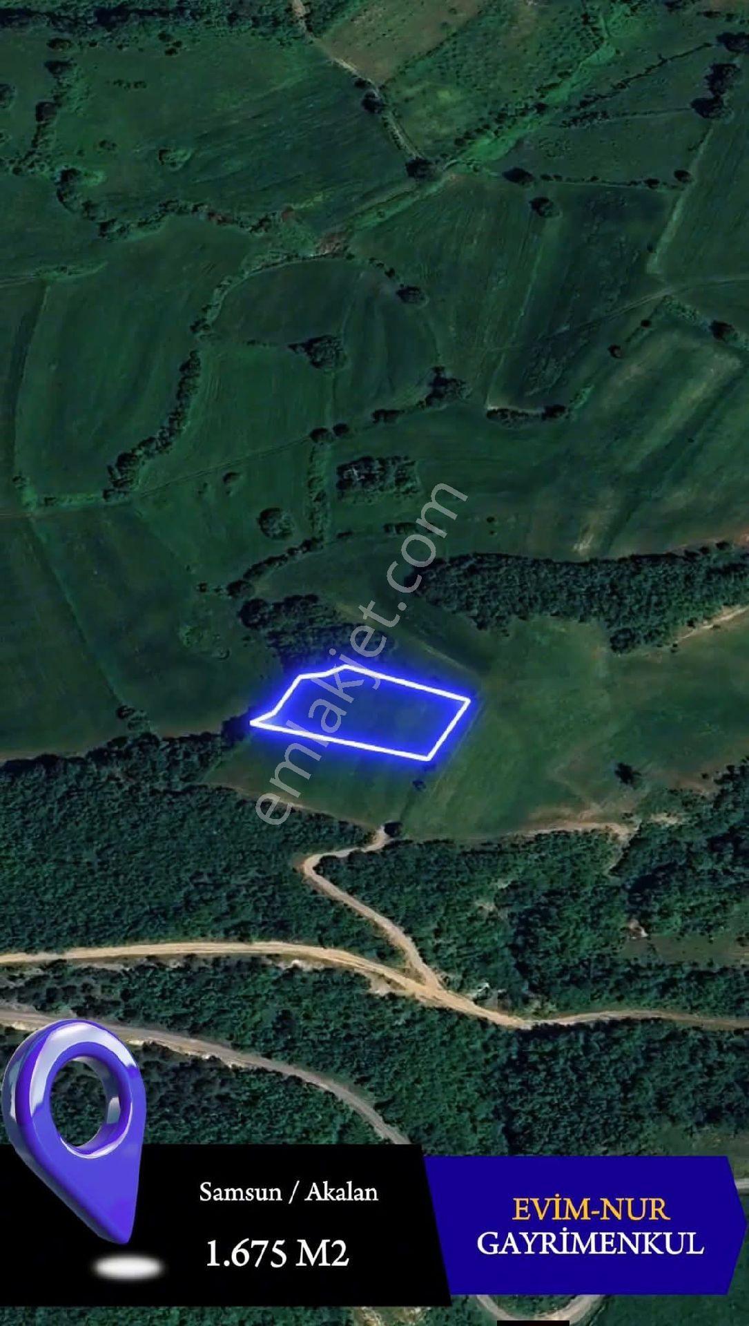 Evim-nur'dan Akalan Mh 1580m2 Yol Kenarı Kadastro Yolu Mevcut Fırsat Yatırımlık Tarla - Görsel 7