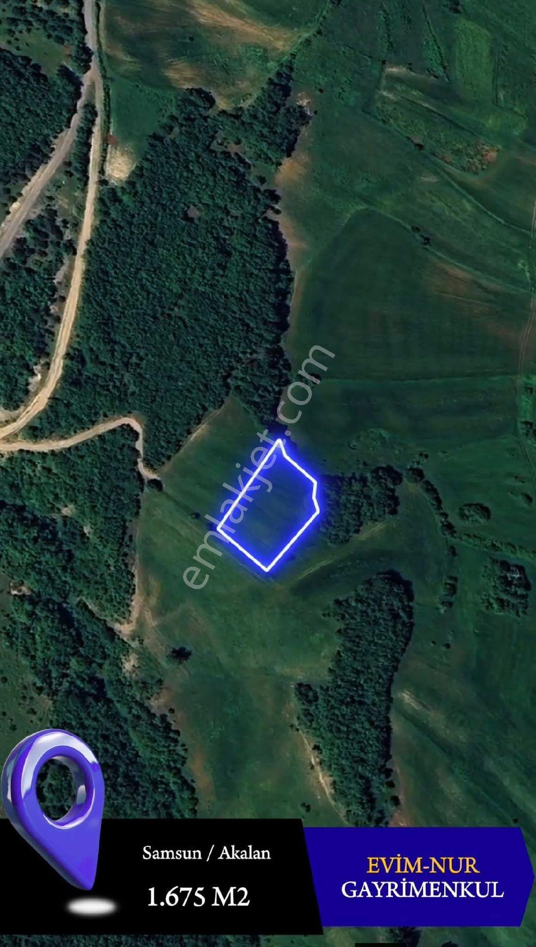 Evim-nur'dan Akalan Mh 1580m2 Yol Kenarı Kadastro Yolu Mevcut Fırsat Yatırımlık Tarla - Görsel 6