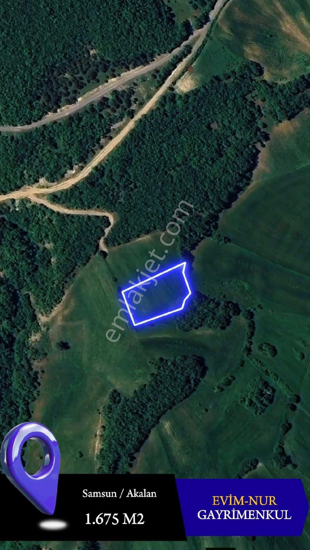 Evim-nur'dan Akalan Mh 1580m2 Yol Kenarı Kadastro Yolu Mevcut Fırsat Yatırımlık Tarla - Görsel 5