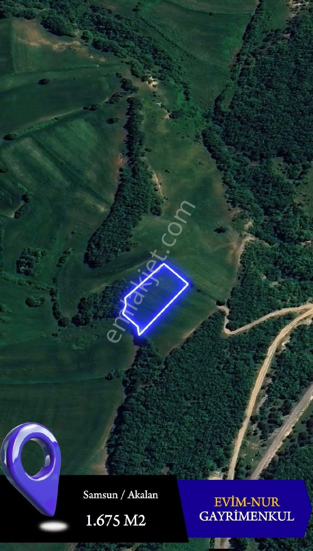 Evim-nur'dan Akalan Mh 1580m2 Yol Kenarı Kadastro Yolu Mevcut Fırsat Yatırımlık Tarla - Görsel 2