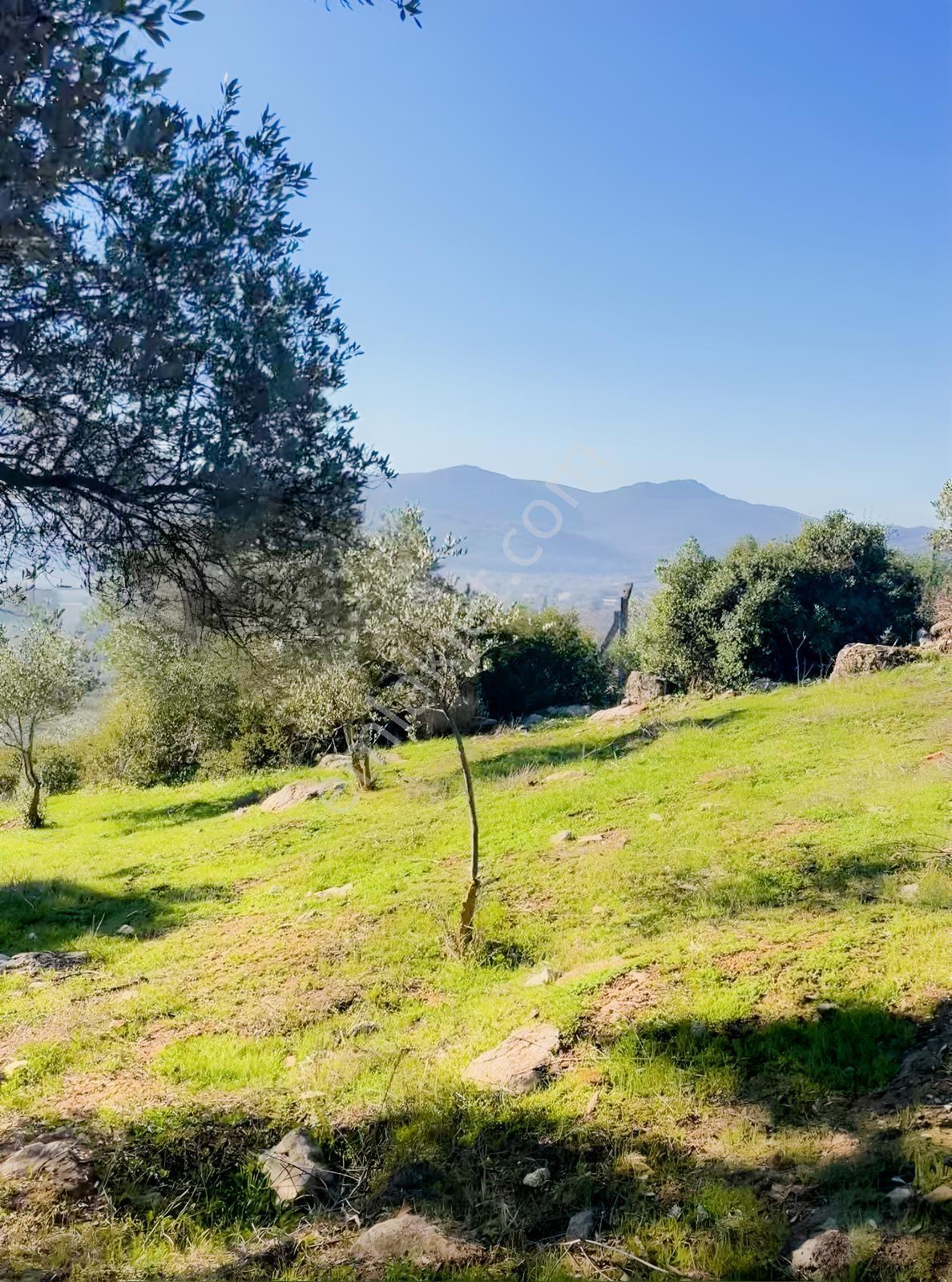 Araç Takaslı Müstakil Tek Tapu 3.700 M2