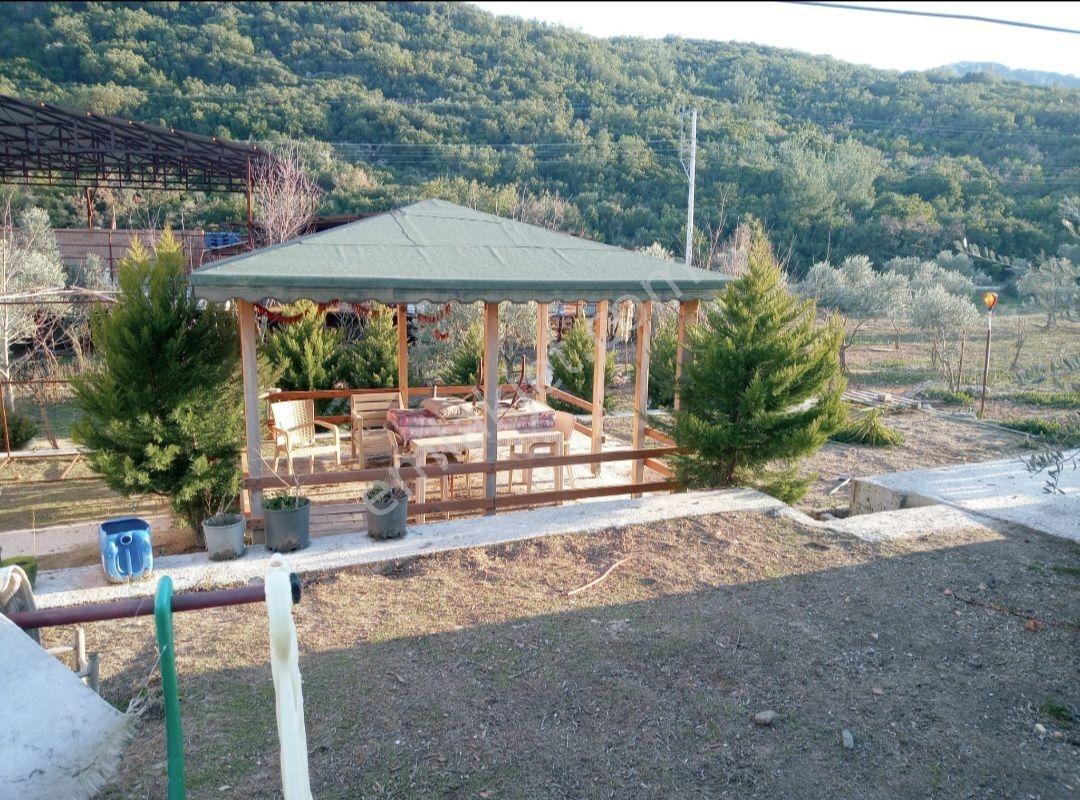 Oscar'dan Yatırım Ve Yaşam Fırsatı - Görsel 7