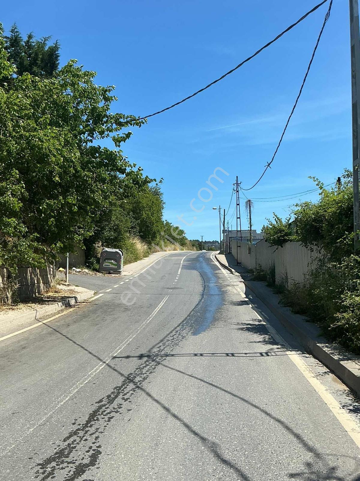 Beykoz Yavuz Selimde, Orman Cepheli, 434 M² Emsalli Kupon Arsa - Görsel 9