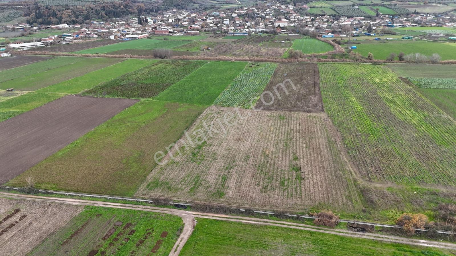 Bursadabul'dan Karaoğlan Mah Büyük Düz Verimli Tarla 132.372 M2 - Görsel 4