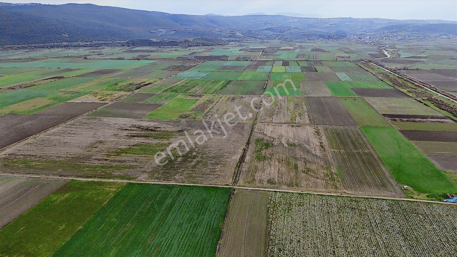 Bursadabul'dan Karaoğlan Mah Büyük Düz Verimli Tarla 132.372 M2 - Görsel 11