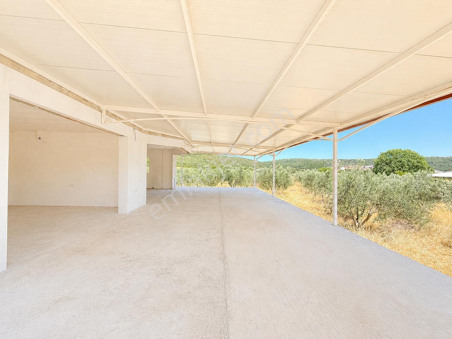 Urla Nohutalan'da 10.478 M² Zeytinlik Ve Mevcut Yapı - Görsel 8