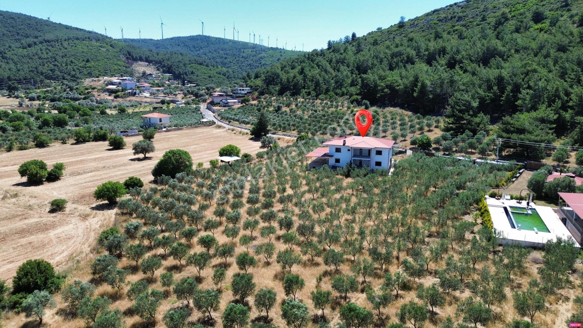 Urla Nohutalan'da 10.478 M² Zeytinlik Ve Mevcut Yapı - Görsel 3