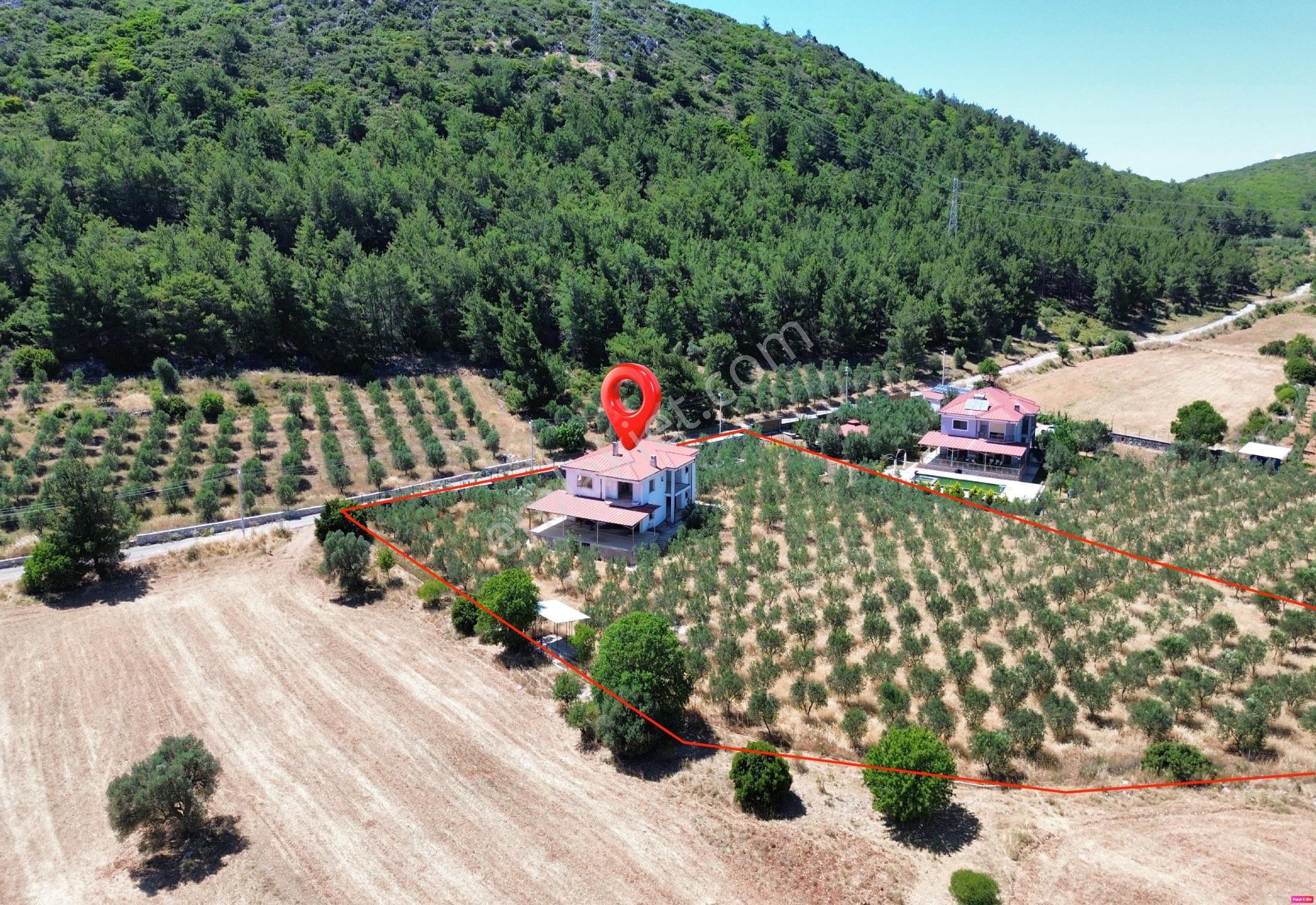 Urla Nohutalan'da 10.478 M² Zeytinlik Ve Mevcut Yapı