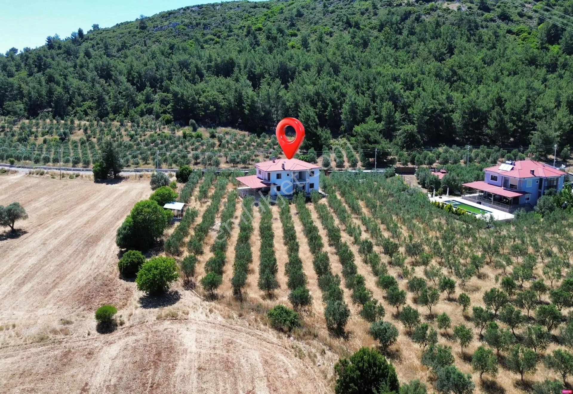 Urla Nohutalan'da 10.478 M² Zeytinlik Ve Mevcut Yapı - Görsel 5