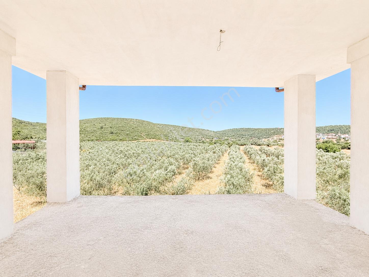 Urla Nohutalan'da 10.478 M² Zeytinlik Ve Mevcut Yapı - Görsel 9