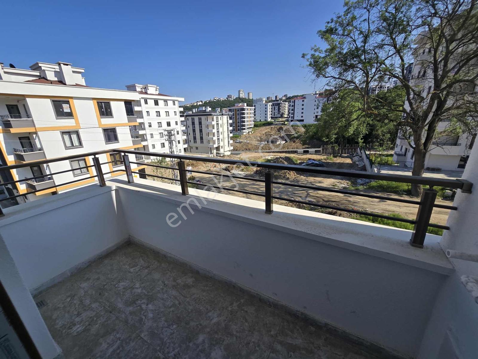 Kiralık 1 + 1