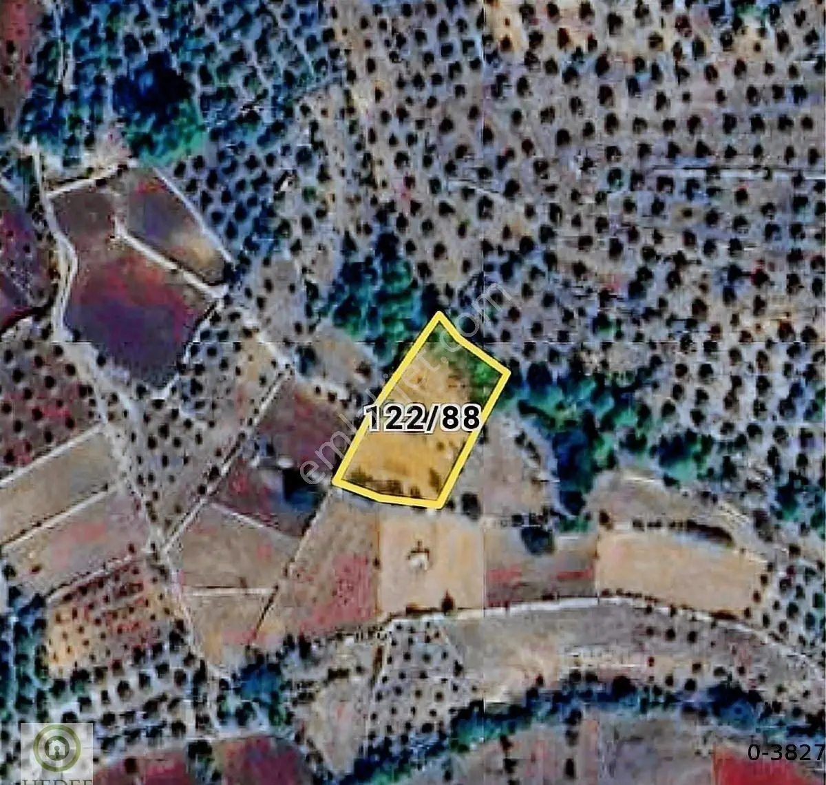Hedef'ten Muğla Milas Söğütcük Satılık 2.786m2 Yolüstü Zeytinlik - Görsel 2