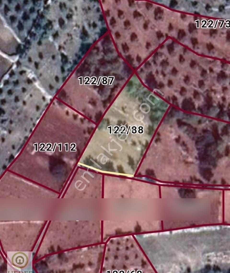 Hedef'ten Muğla Milas Söğütcük Satılık 2.786m2 Yolüstü Zeytinlik - Görsel 5
