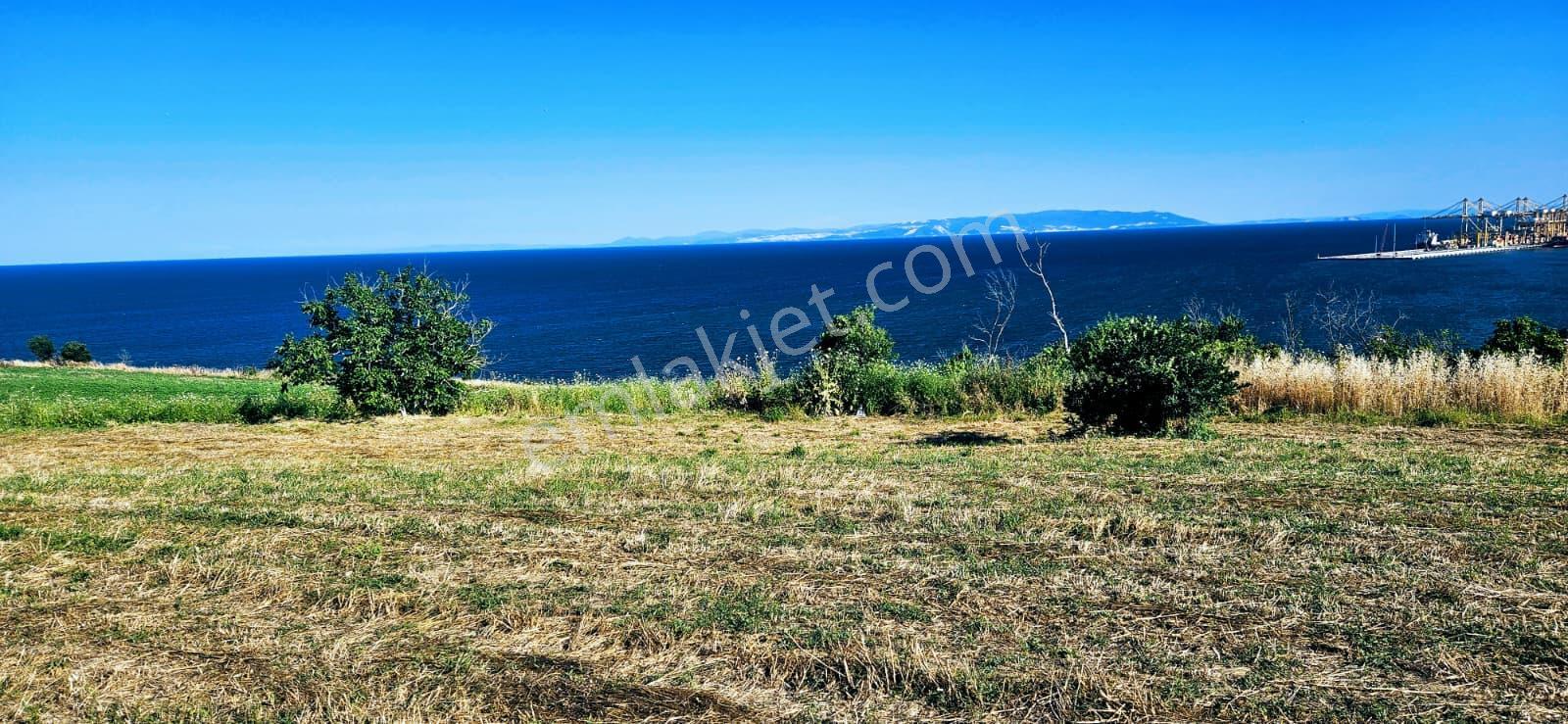 Tekirdağ Barbarosta Full Deniz Manzaralı 15 Adet Lüxs Villa Projesine Uygun Fırsat Özel Arsa - Görsel 20