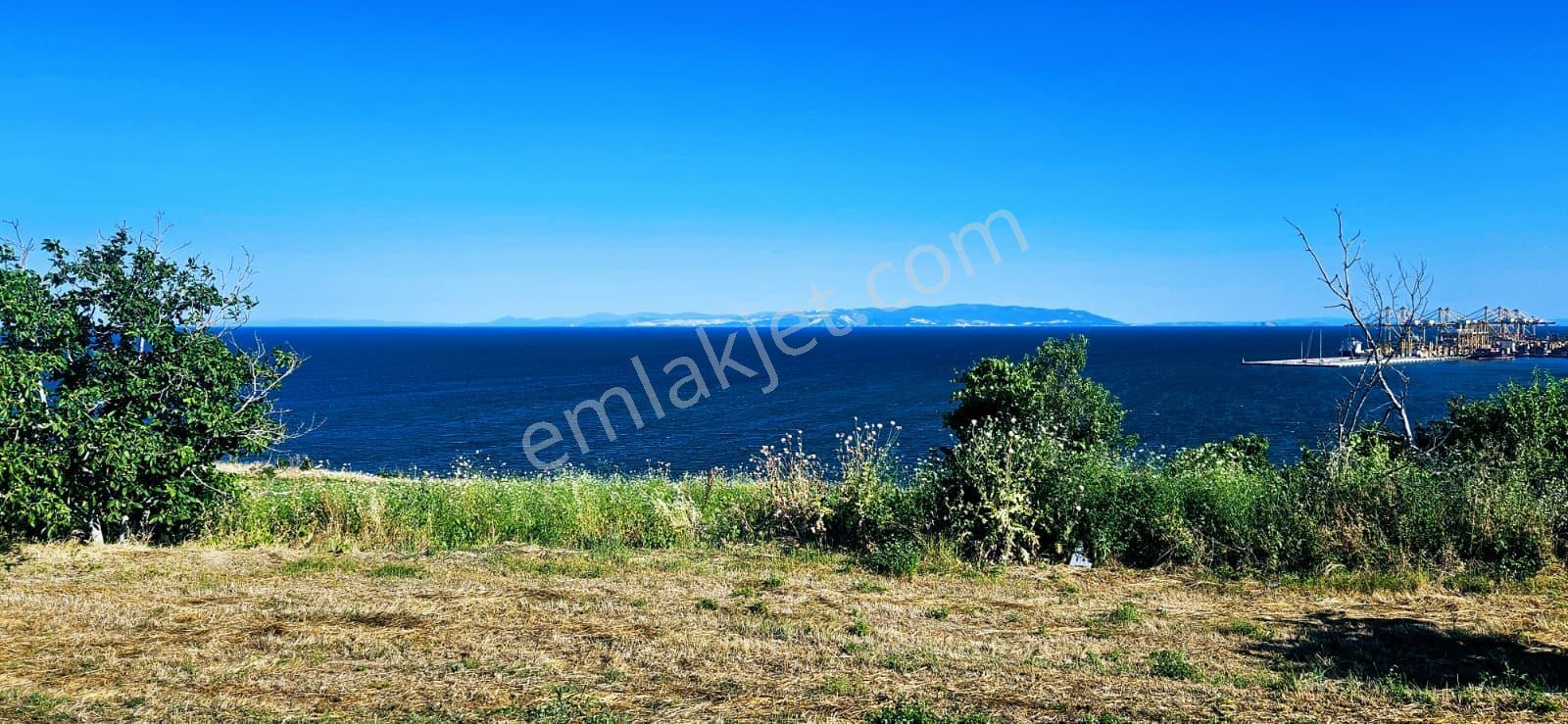 Tekirdağ Barbarosta Full Deniz Manzaralı 15 Adet Lüxs Villa Projesine Uygun Fırsat Özel Arsa - Görsel 27