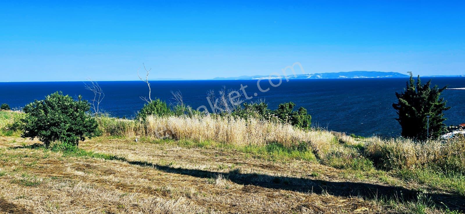 Tekirdağ Barbarosta Full Deniz Manzaralı 15 Adet Lüxs Villa Projesine Uygun Fırsat Özel Arsa - Görsel 32