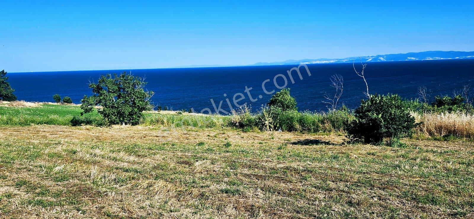 Tekirdağ Barbarosta Full Deniz Manzaralı 15 Adet Lüxs Villa Projesine Uygun Fırsat Özel Arsa - Görsel 22