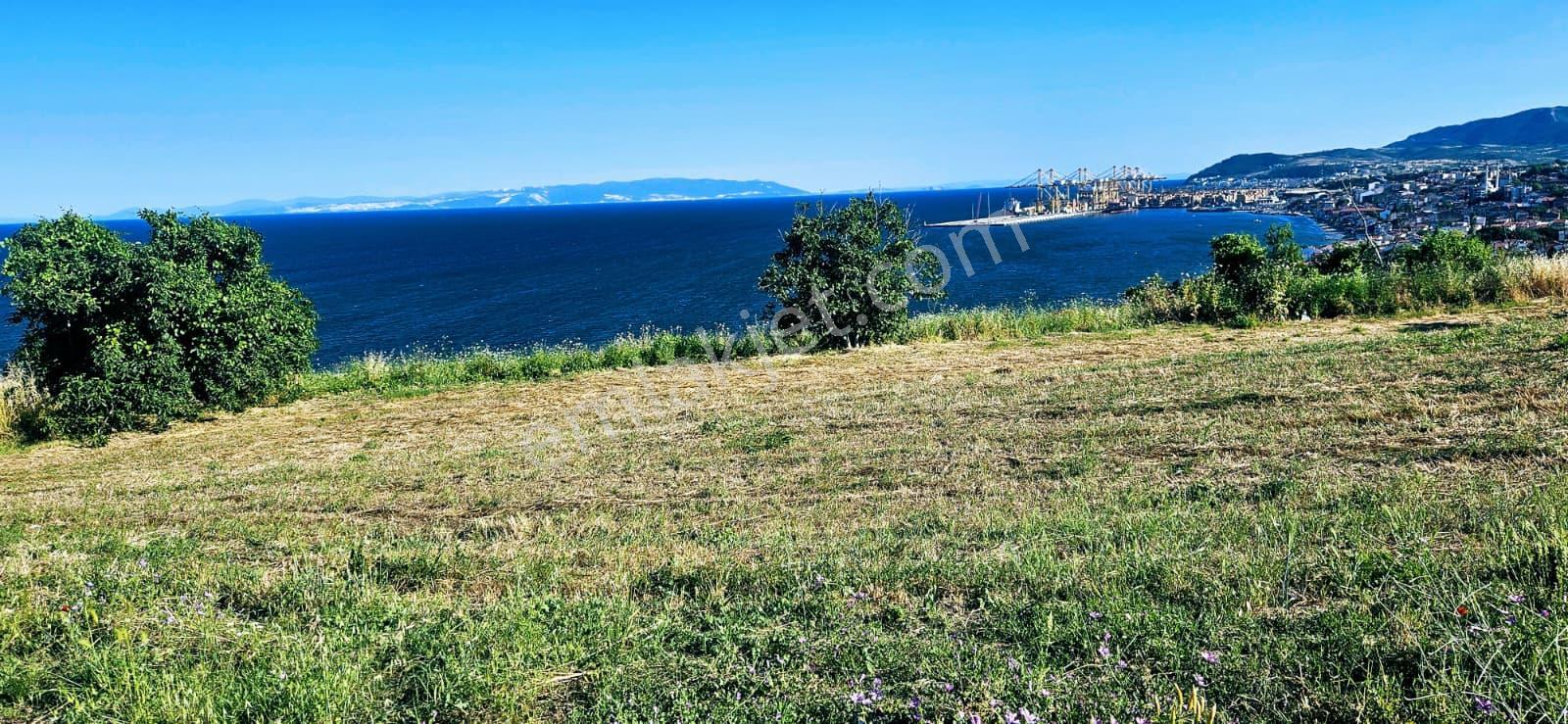 Tekirdağ Barbarosta Full Deniz Manzaralı 15 Adet Lüxs Villa Projesine Uygun Fırsat Özel Arsa - Görsel 16