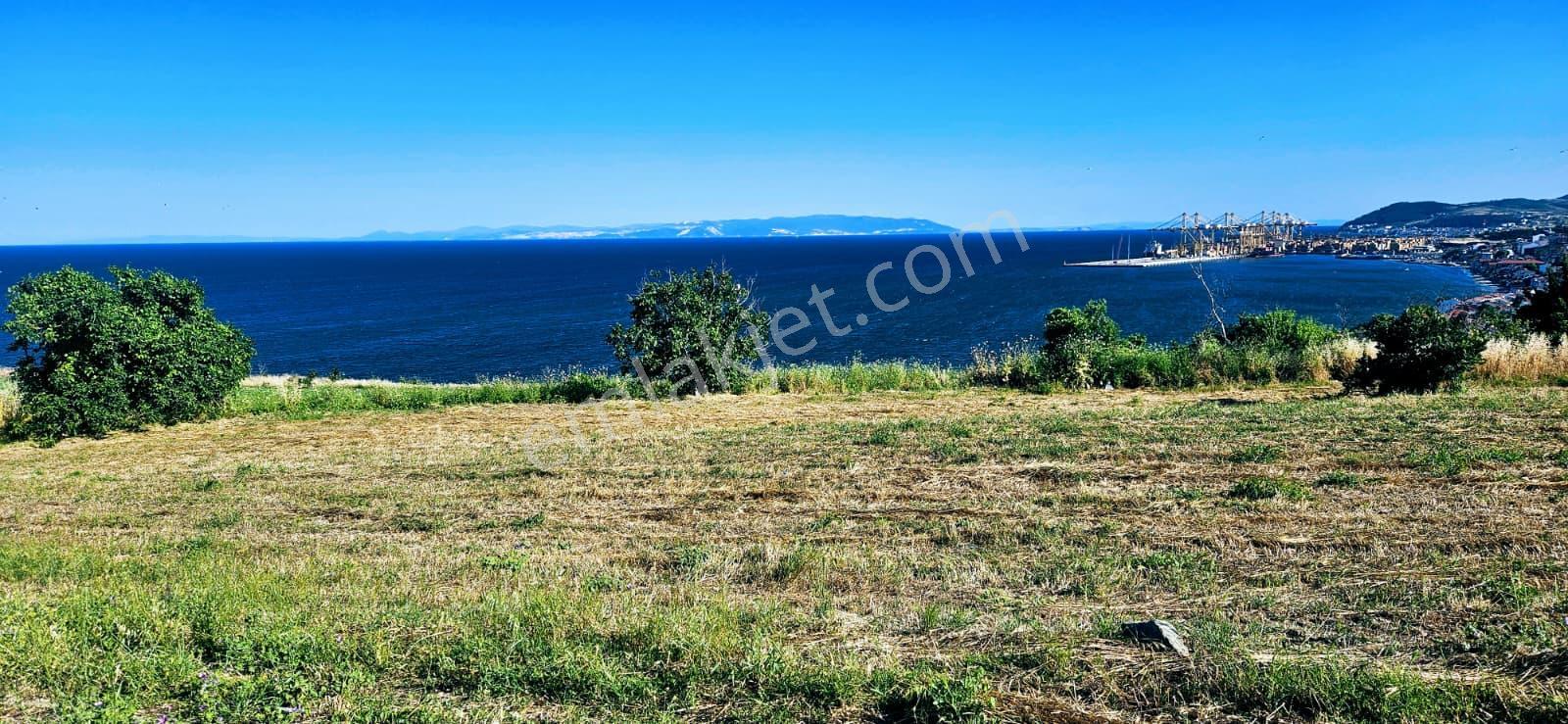 Tekirdağ Barbarosta Full Deniz Manzaralı 15 Adet Lüxs Villa Projesine Uygun Fırsat Özel Arsa - Görsel 25