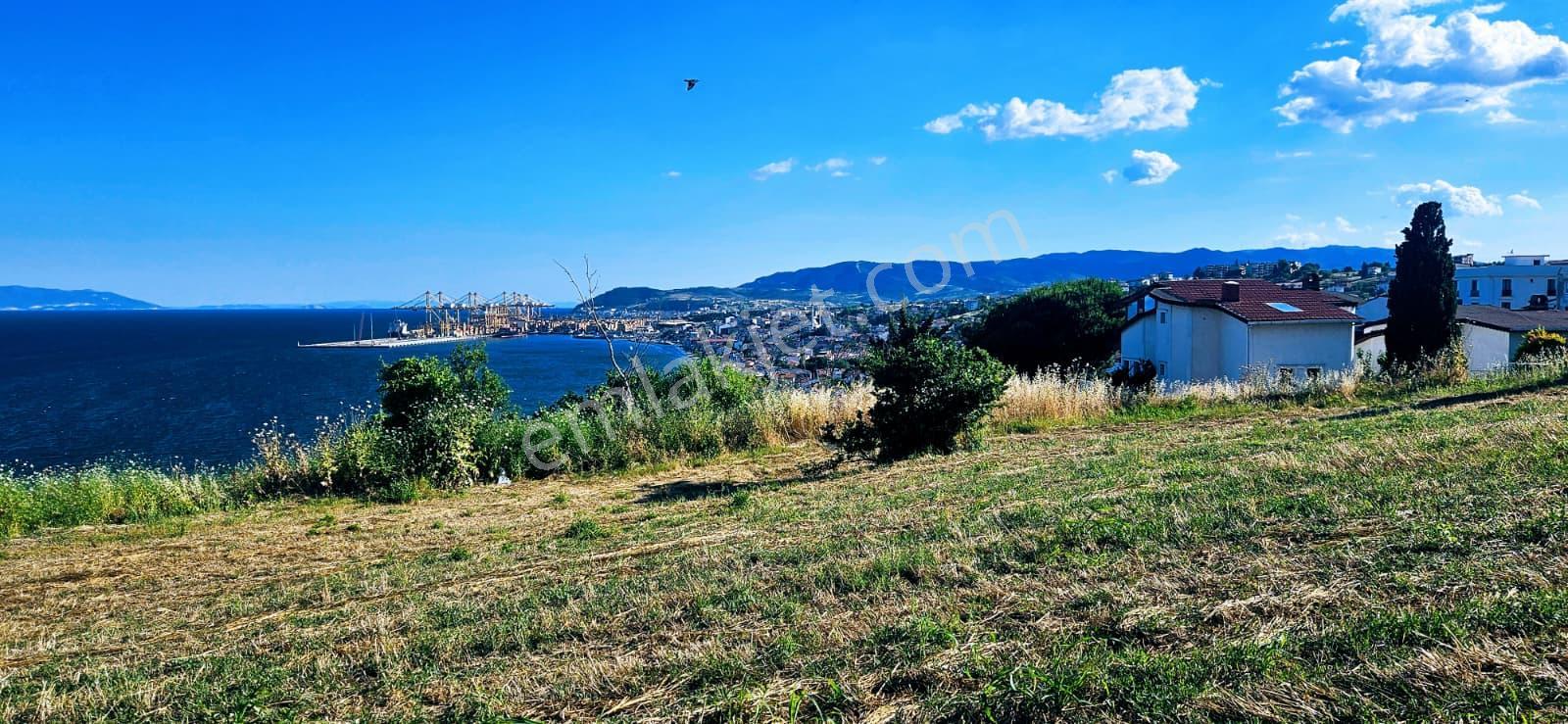 Tekirdağ Barbarosta Full Deniz Manzaralı 15 Adet Lüxs Villa Projesine Uygun Fırsat Özel Arsa - Görsel 7