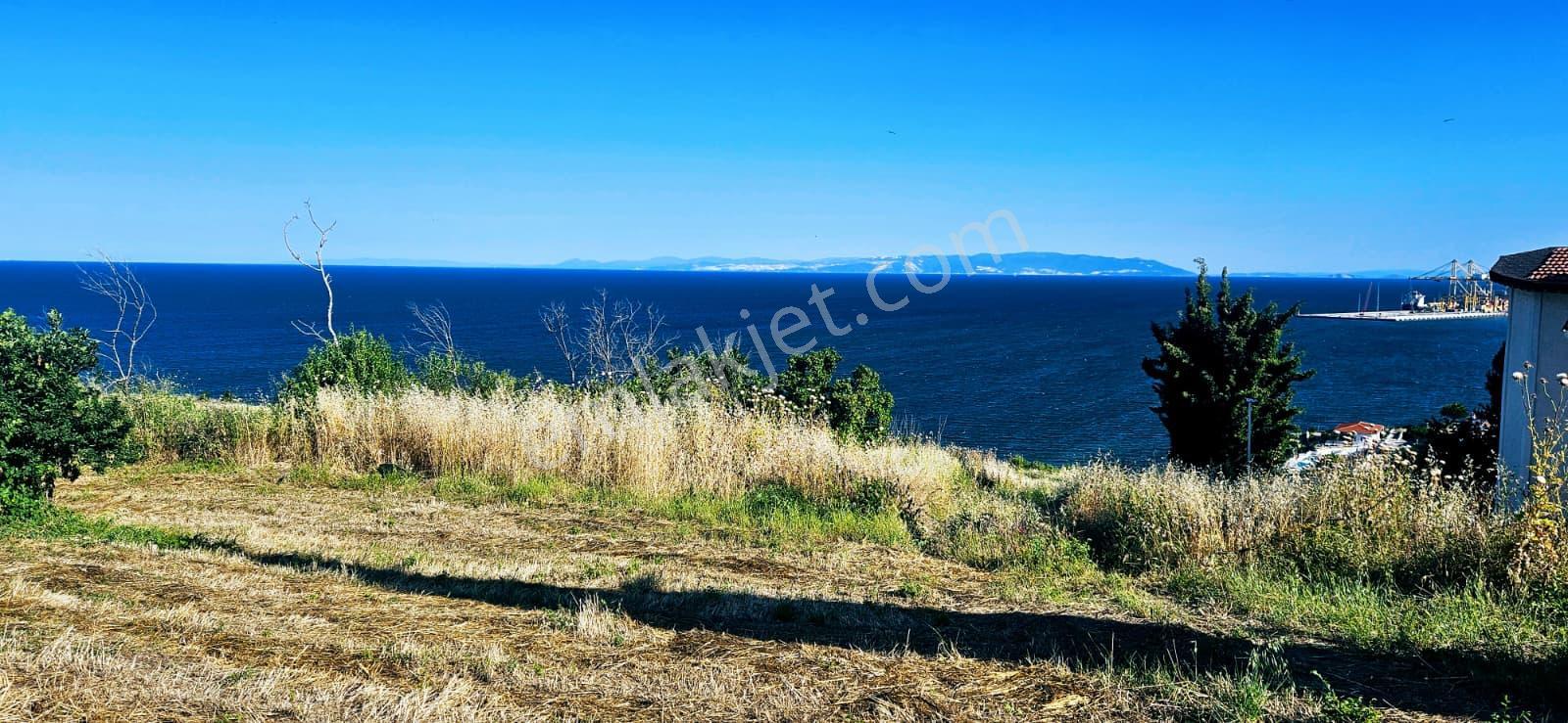 Tekirdağ Barbarosta Full Deniz Manzaralı 15 Adet Lüxs Villa Projesine Uygun Fırsat Özel Arsa - Görsel 23