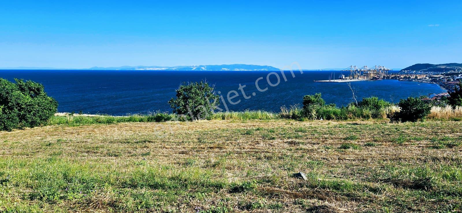 Tekirdağ Barbarosta Full Deniz Manzaralı 15 Adet Lüxs Villa Projesine Uygun Fırsat Özel Arsa - Görsel 3