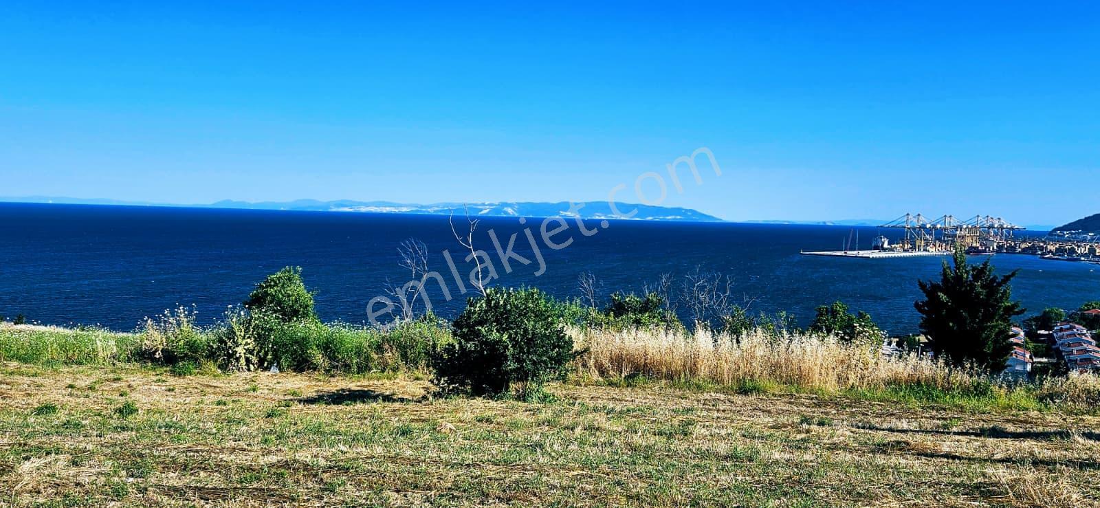 Tekirdağ Barbarosta Full Deniz Manzaralı 15 Adet Lüxs Villa Projesine Uygun Fırsat Özel Arsa - Görsel 21