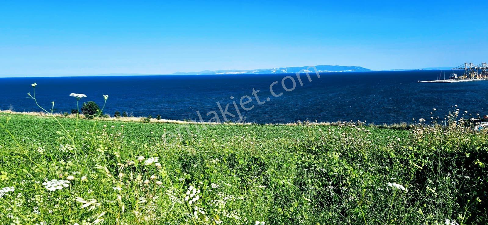 Tekirdağ Barbarosta Full Deniz Manzaralı 15 Adet Lüxs Villa Projesine Uygun Fırsat Özel Arsa - Görsel 8