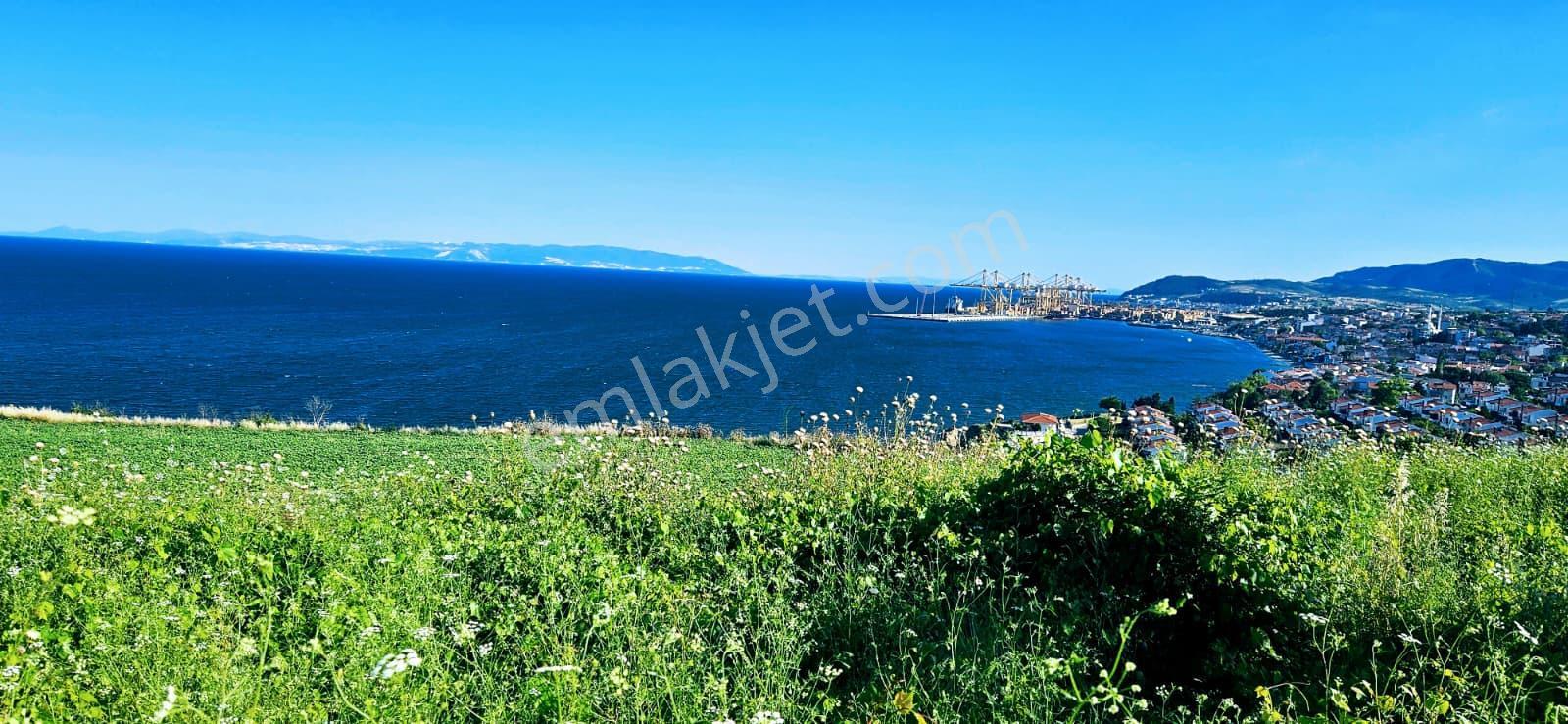 Tekirdağ Barbarosta Full Deniz Manzaralı 15 Adet Lüxs Villa Projesine Uygun Fırsat Özel Arsa - Görsel 4