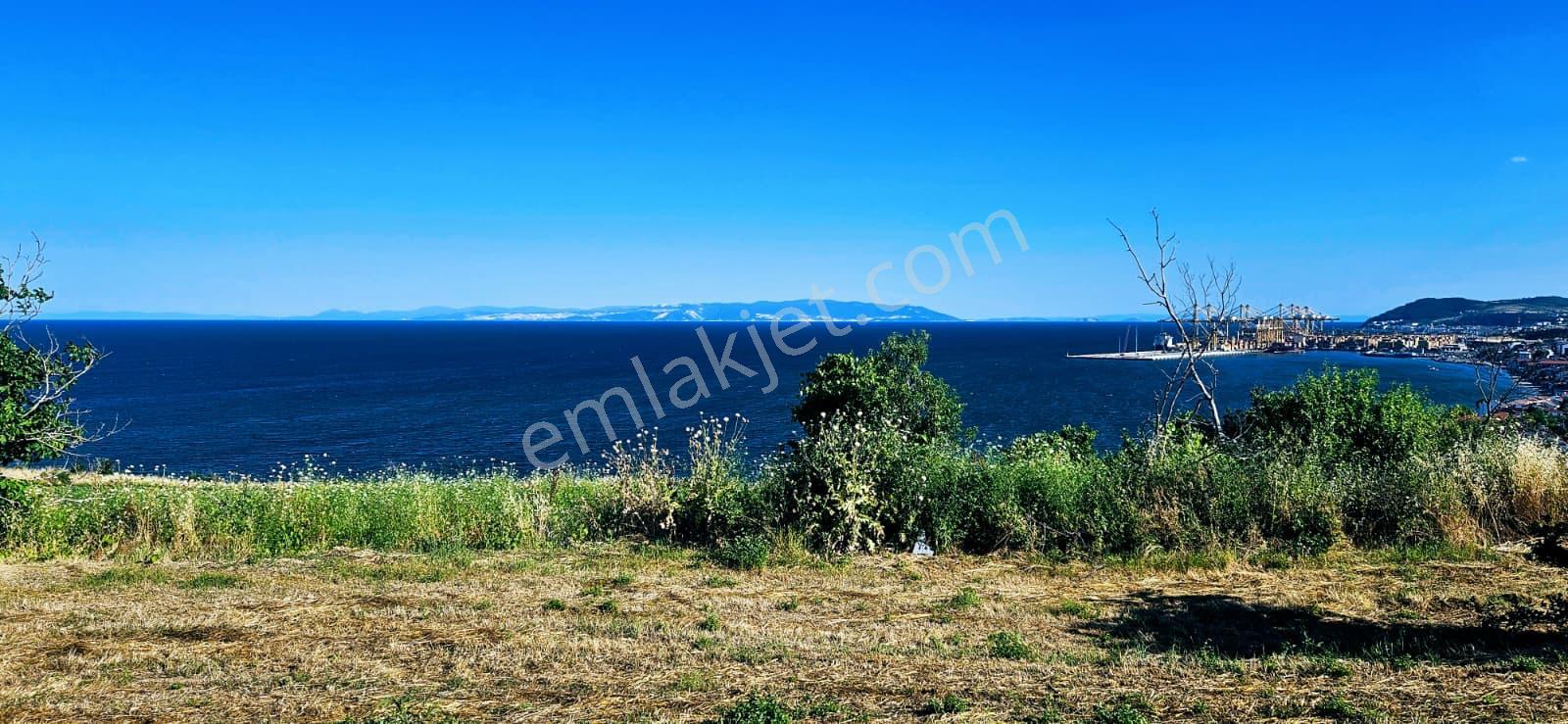 Tekirdağ Barbarosta Full Deniz Manzaralı 15 Adet Lüxs Villa Projesine Uygun Fırsat Özel Arsa - Görsel 15