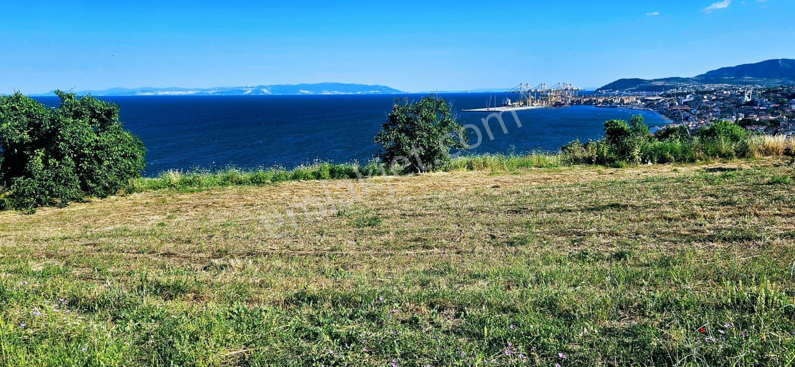 Tekirdağ Barbarosta Full Deniz Manzaralı 15 Adet Lüxs Villa Projesine Uygun Fırsat Özel Arsa - Görsel 9