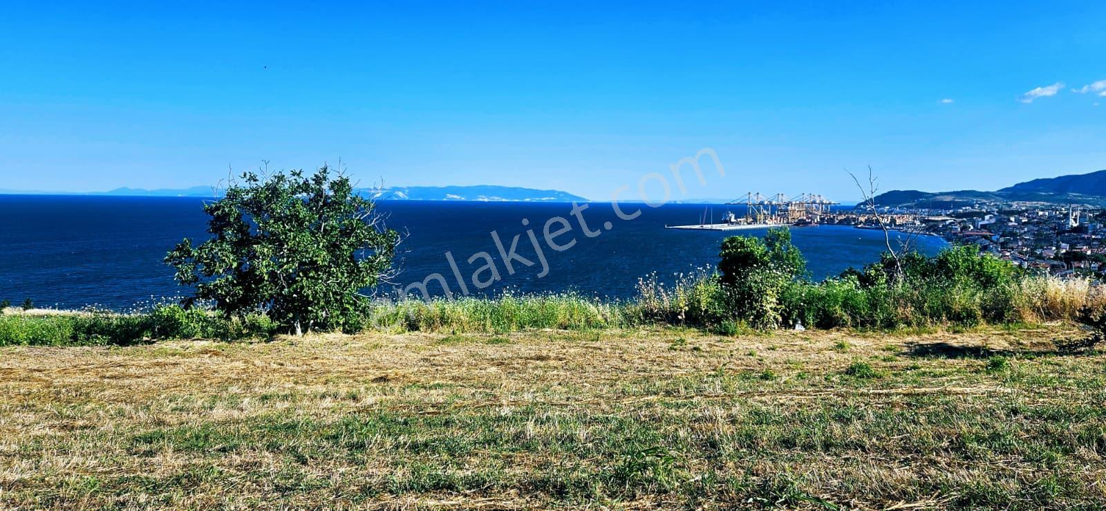 Tekirdağ Barbarosta Full Deniz Manzaralı 15 Adet Lüxs Villa Projesine Uygun Fırsat Özel Arsa - Görsel 11
