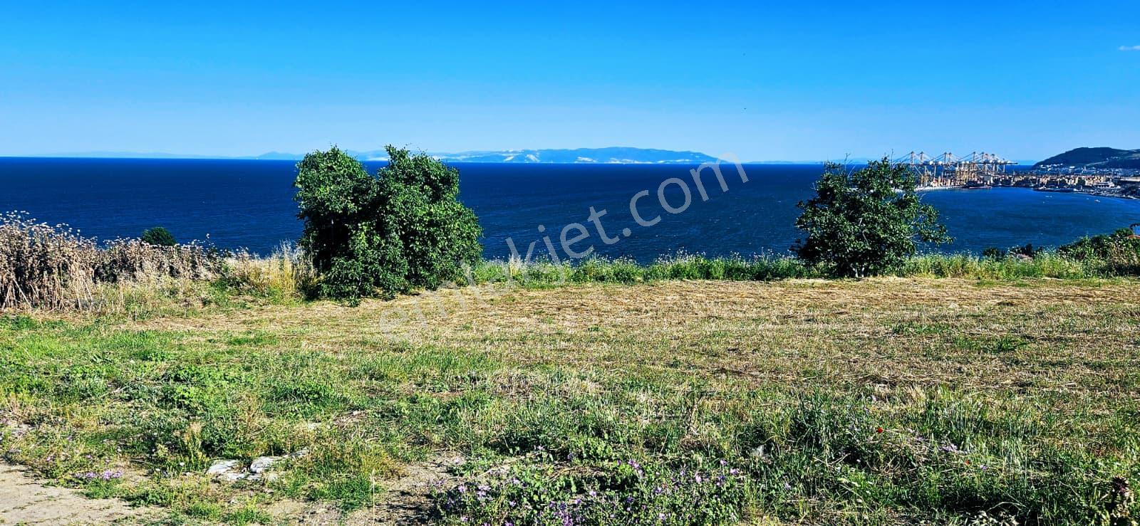 Tekirdağ Barbarosta Full Deniz Manzaralı 15 Adet Lüxs Villa Projesine Uygun Fırsat Özel Arsa - Görsel 30