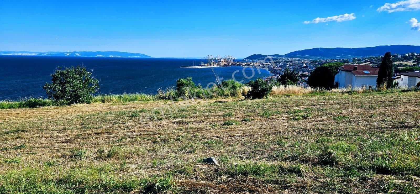 Tekirdağ Barbarosta Full Deniz Manzaralı 15 Adet Lüxs Villa Projesine Uygun Fırsat Özel Arsa - Görsel 26