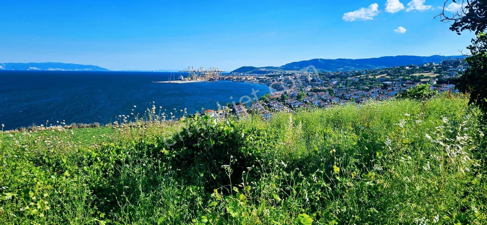 Tekirdağ Barbarosta Full Deniz Manzaralı 15 Adet Lüxs Villa Projesine Uygun Fırsat Özel Arsa - Görsel 6