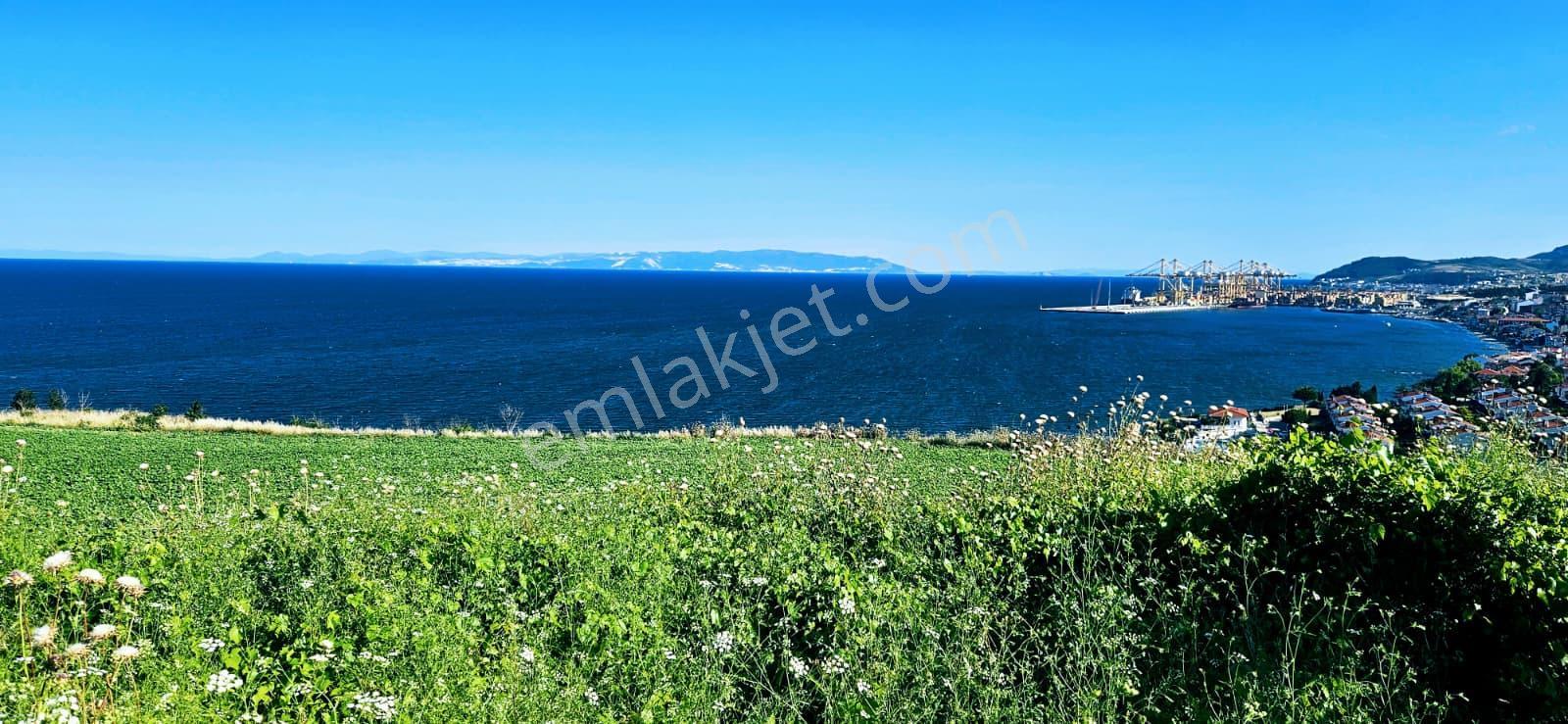 Tekirdağ Barbarosta Full Deniz Manzaralı 15 Adet Lüxs Villa Projesine Uygun Fırsat Özel Arsa - Görsel 12